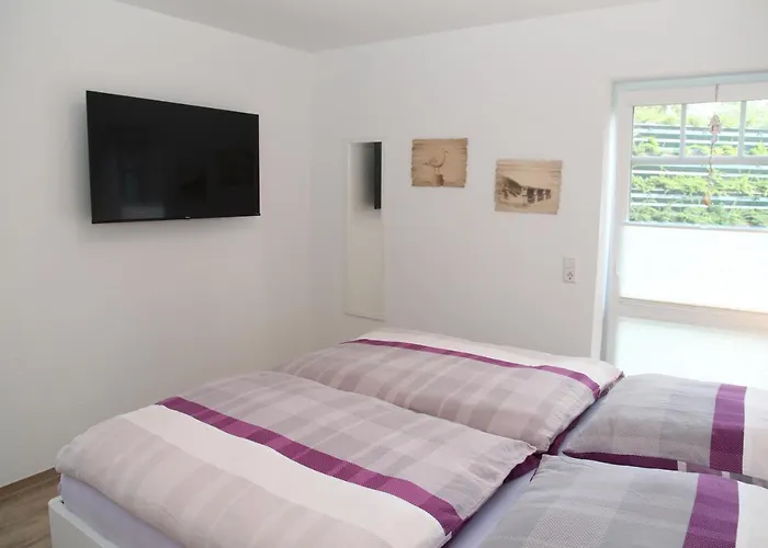 Seepferdchen 特希尔